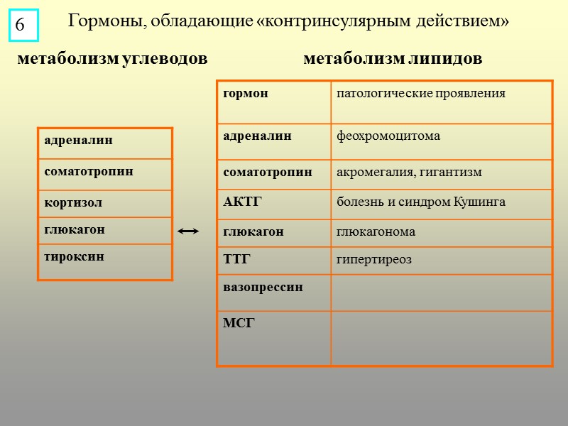 Гормоны, обладающие «контринсулярным действием» метаболизм углеводов метаболизм липидов 6